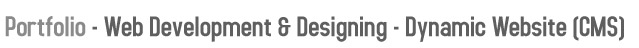 Web Development & Designing - Dynamic Websites (Content Management System)