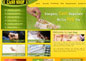 Infotech Galaxy - Dynamic Website