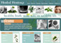 Infotech Galaxy - Static Sites