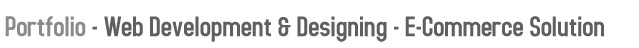 Web Development & Designing - Ecommerce