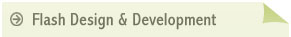 Flash Design & Development
