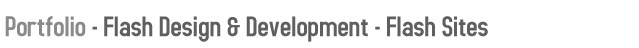 Flash Design & Development - Flash Websites